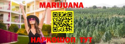 PSILOCYBIN Шелехов