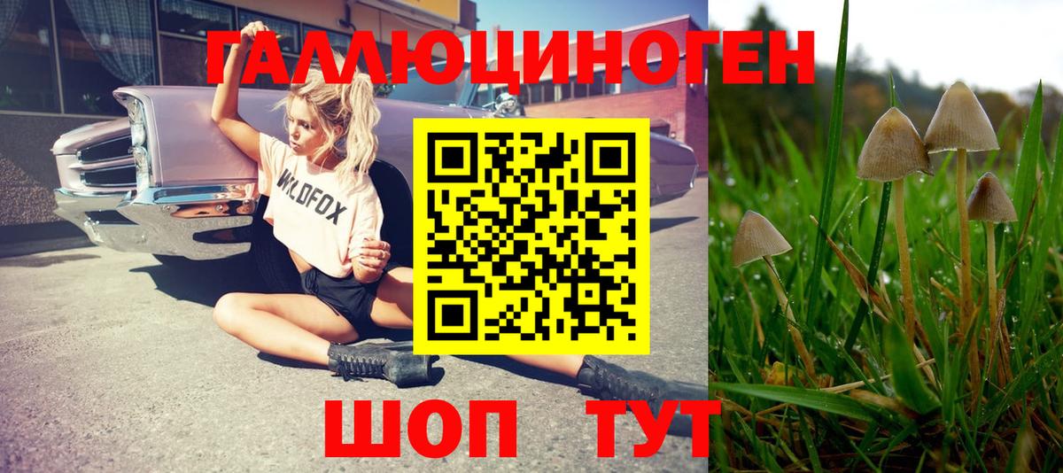 Галлюциногенные грибы Cubensis  Вход с VPN  Магадан 