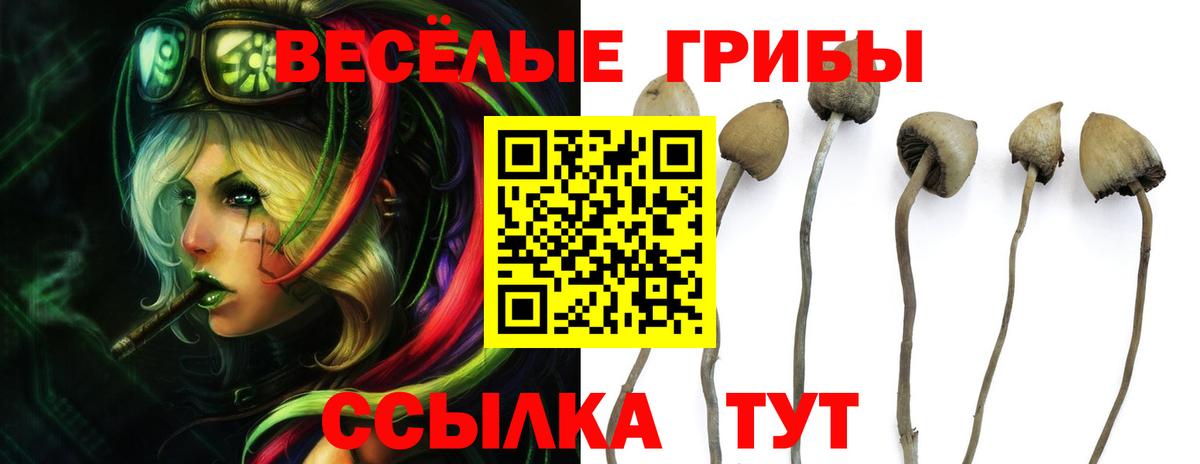 Галлюциногенные грибы Magic Shrooms Магадан